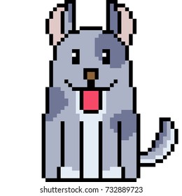 vector pixel art dog isolated