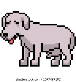 vector pixel art dog sick isolated cartoon