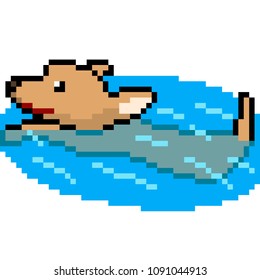 vector pixel art dog swim isolated cartoon