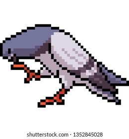 vector pixel art dove isolated cartoon