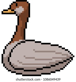 vector pixel art duck isolated cartoon