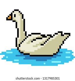 vector pixel art duck swim isolated cartoon