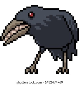 vector pixel art evil crow isolated cartoon