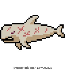 vector pixel art fighter whale isolated cartoon