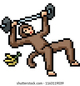 vector pixel art fitness ape isolated cartoon
