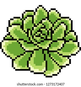 vector pixel art flower bloom isolated cartoon