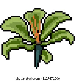 vector pixel art flower isolated cartoon
