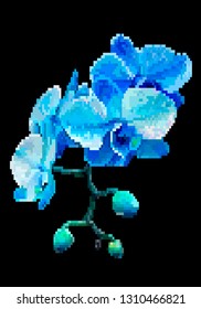 Vector pixel art flower isolated on black background. Blue meadow flowers. Vector illustration.