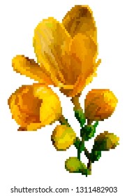 Vector pixel art flower isolated. Yellow meadow flowers. Vector illustration.