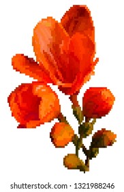 Vector pixel art flower isolated. Meadow flowers. Vector pixelated illustration.