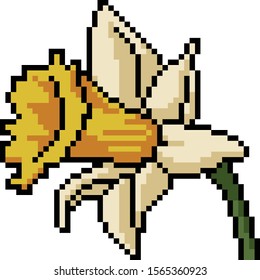 vector pixel art flower isolated cartoon