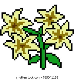 vector pixel art flower isolated