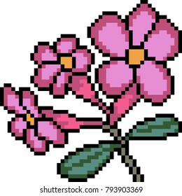 Vector Pixel Art Flower Isolated Stock Vector (royalty Free) 793903369 