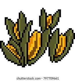 vector pixel art food isolated
