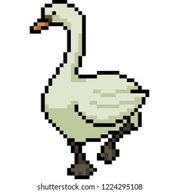 vector pixel art goose isolated cartoon