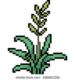 vector pixel art grass isolated cartoon