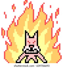 vector pixel art hot cat