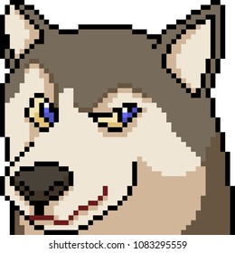 vector pixel art husky face expression isolated cartoon