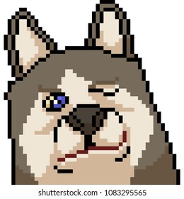 vector pixel art husky face expression isolated cartoon