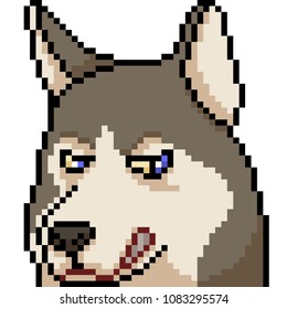 vector pixel art husky face expression isolated cartoon