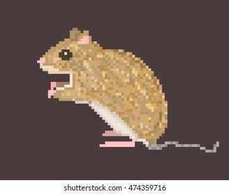 Vector pixel art illustration of brown field mouse isolated on dark brown background. Side view sitting meadow vole icon.