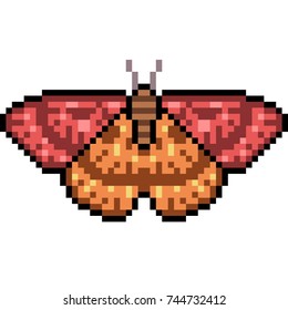 vector pixel art insect moth isolated