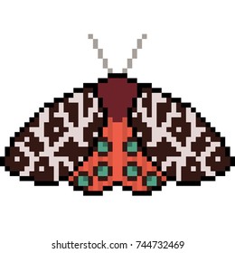 vector pixel art insect moth isolated