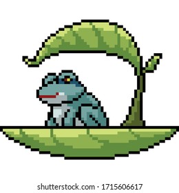 vector pixel art isolated frog boat