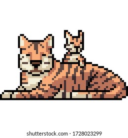 vector pixel art isolated mother tiger