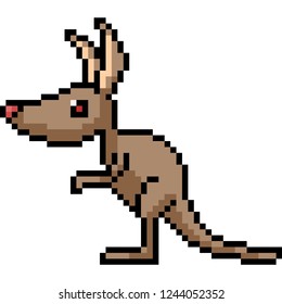 vector pixel art kangaroo isolated cartoon
