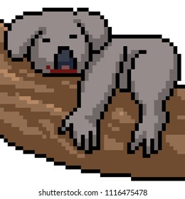 vector pixel art koala isolated cartoon