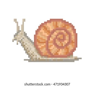 Vector pixel art land snail with brown shell isolated on white background.