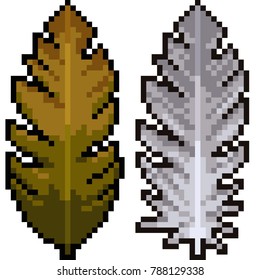 vector pixel art leaf feather isolated