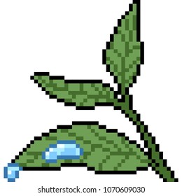 vector pixel art leaf water drop isolated cartoon