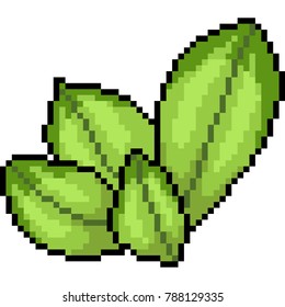 vector pixel art leaves isolated