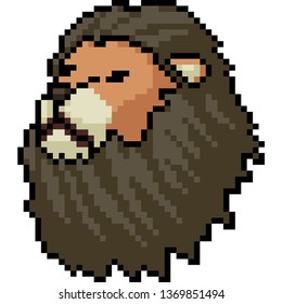 vector pixel art lion head isolated cartoon