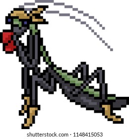 vector pixel art mantis boxing isolated cartoon