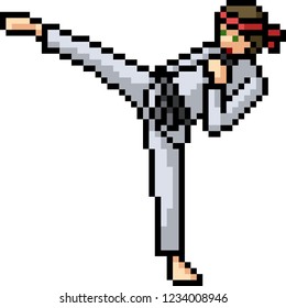 vector pixel art martial artist isolated cartoon
