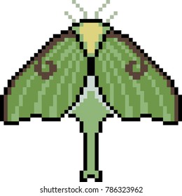 vector pixel art moth isolated