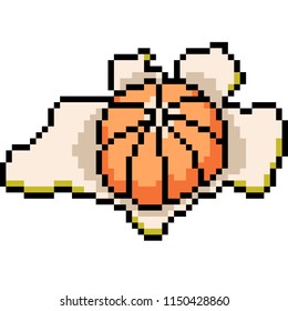 vector pixel art orange peel isolated cartoon
