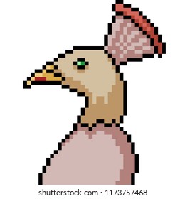 vector pixel art peacock head isolated cartoon