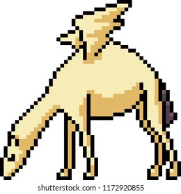 vector pixel art pegasus camel isolated cartoon
