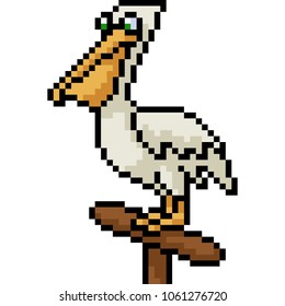 vector pixel art pelican isolated cartoon