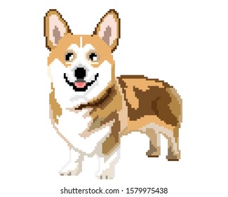 vector pixel art Pembroke Welsh Corgi dog isolated on white background.