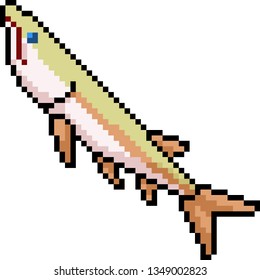vector pixel art pet fish isolated cartoon