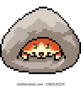 vector pixel art pet house isolated cartoon