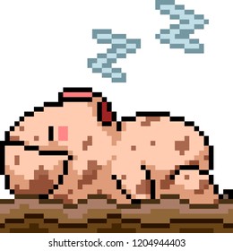 vector pixel art pig sleep isolated cartoon
