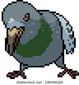 vector pixel art pigeon isolated cartoon