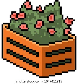 vector pixel art plant garden isolated cartoon