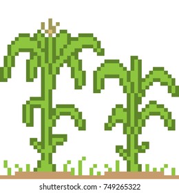 vector pixel art plant isolated